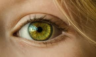 Shifting Our Attitude, In the Blink of an Eye