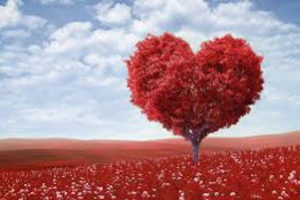 Are you Ready for Love?